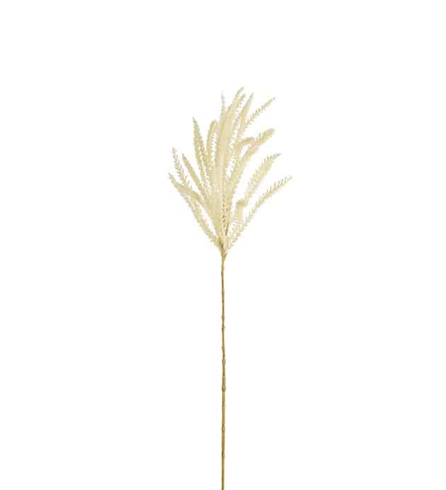 Gold Pampas Grass Stem